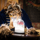 Cosplay by Knightmage | Photo by The Portrait Dude